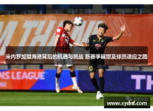 米内罗加盟海港背后的机遇与挑战 新赛季展望及球员适应之路