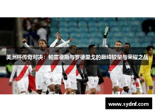 美洲杯传奇对决：帕雷德斯与罗德里戈的巅峰较量与荣耀之战