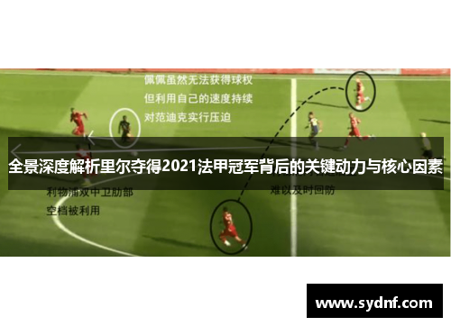 全景深度解析里尔夺得2021法甲冠军背后的关键动力与核心因素